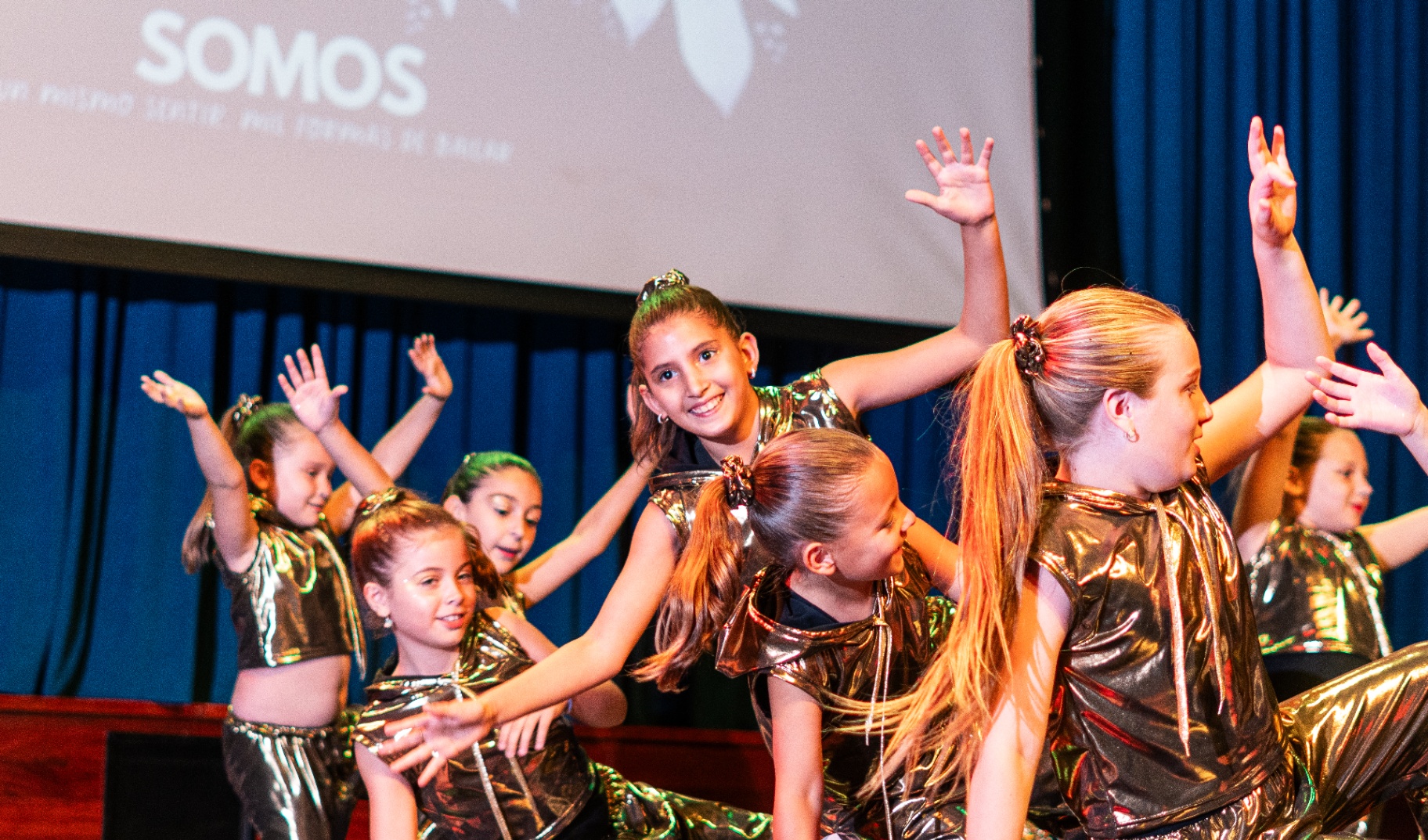 Comunidad — muestra anual